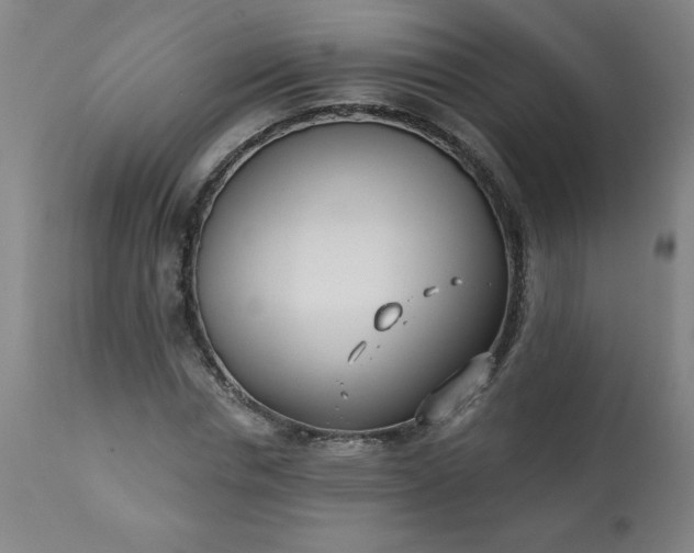 X0000113200826200909241356