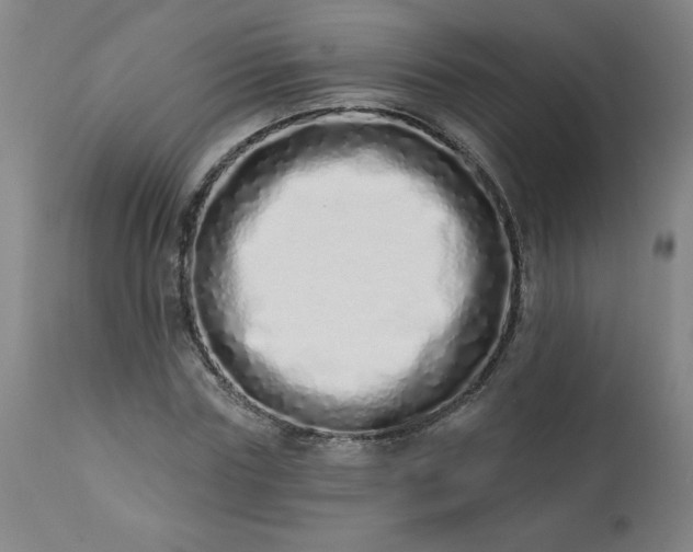 X0000113200827200909241356