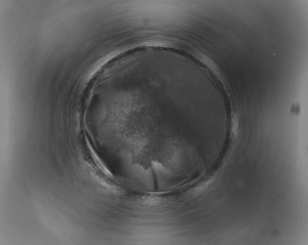 X0000113200829200909241356