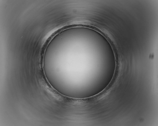 X0000113200830200909241356