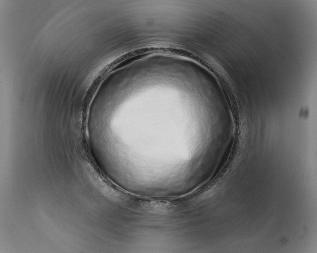 X0000113200831200909241356