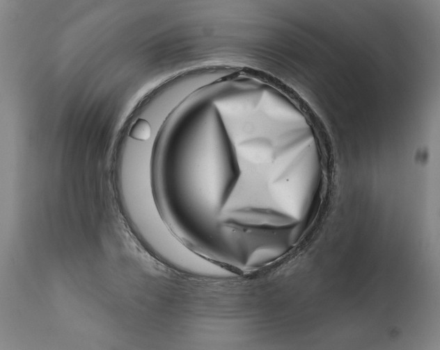 X0000113200832200909241356