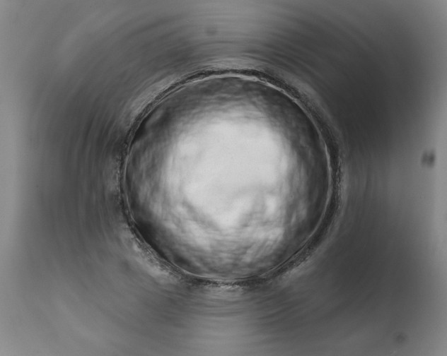 X0000113200833200909241356