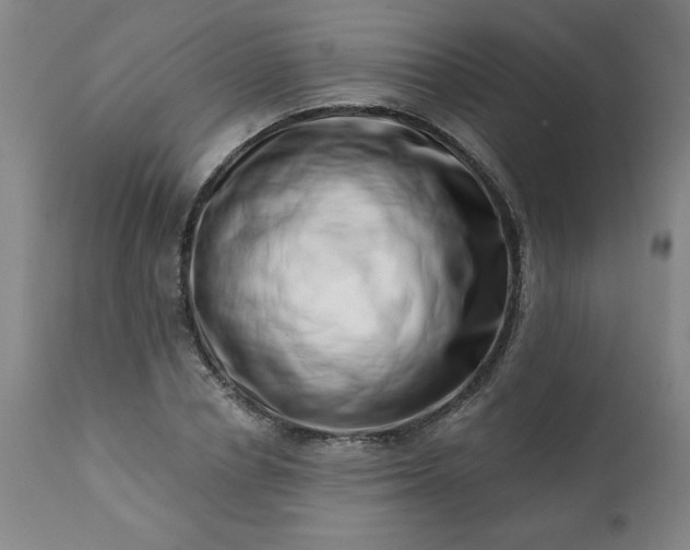 X0000113200834200909241356