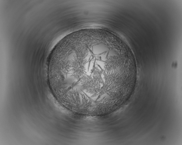 X0000113200835200909241356