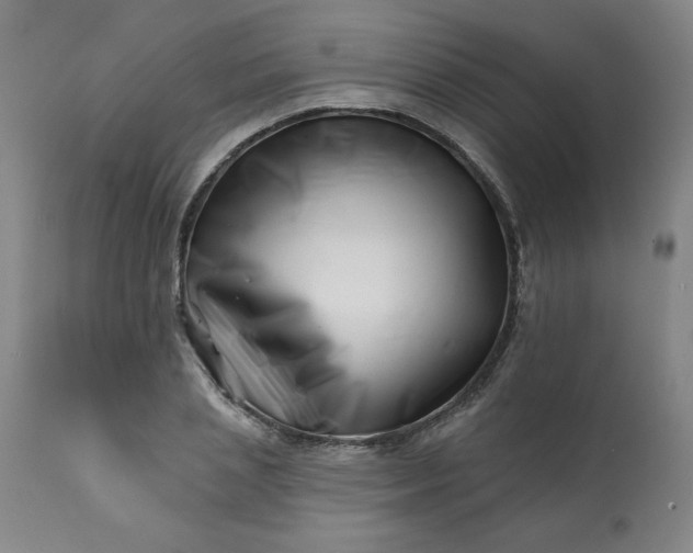 X0000113200837200909241356