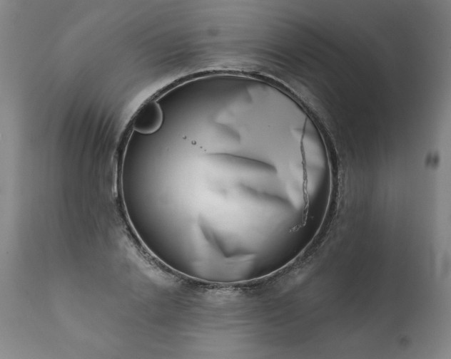 X0000113200838200909241356