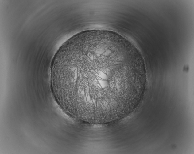 X0000113200839200909241356