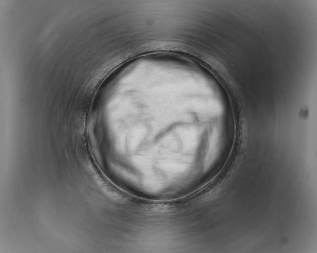 X0000113200841200909241356