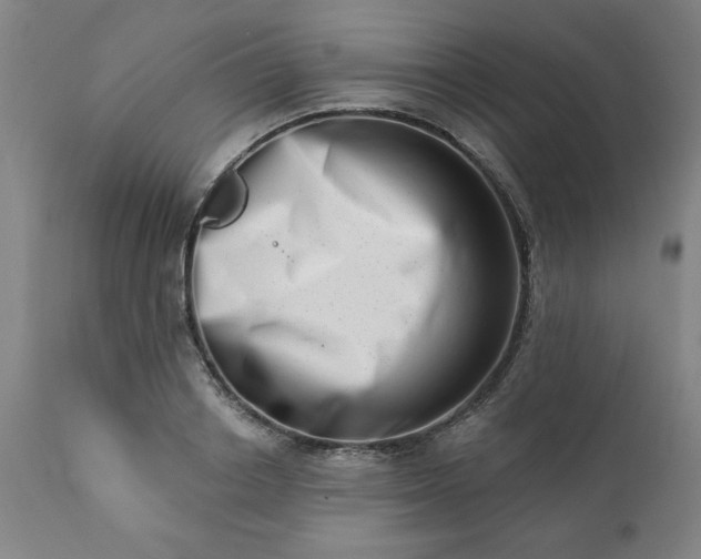 X0000113200842200909241356