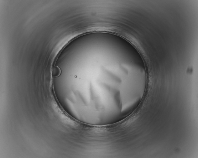 X0000113200844200909241357