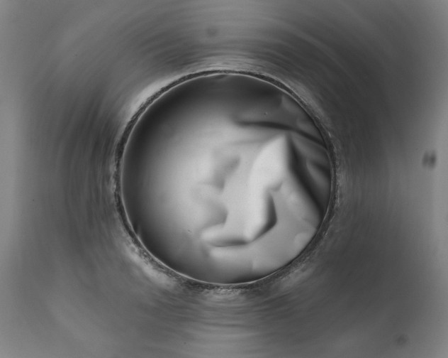 X0000113200846200909241357