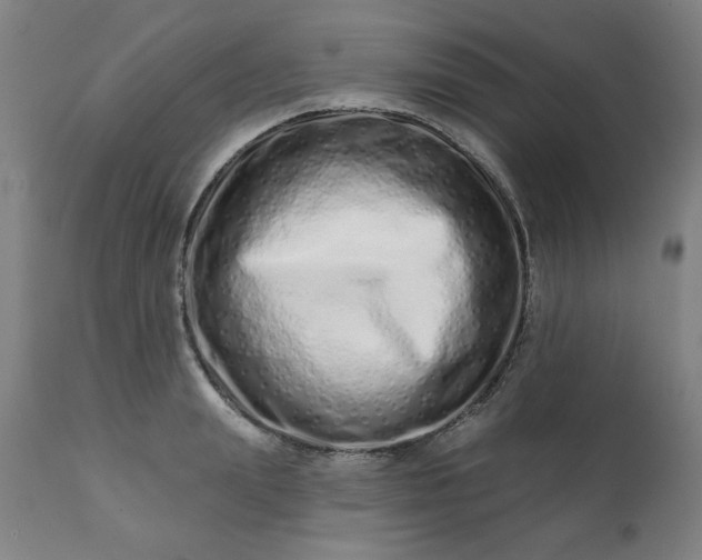 X0000113200847200909241357