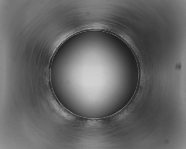 X0000113200850200909241357