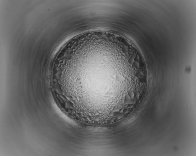 X0000113200851200909241357