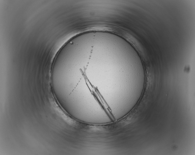 X0000113200852200909241357