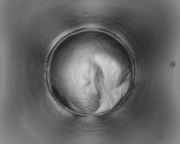 X0000113200853200909241357