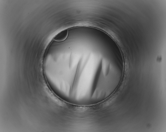 X0000113200854200909241357