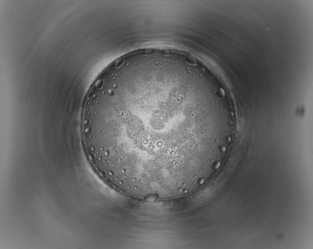 X0000113200855200909241357