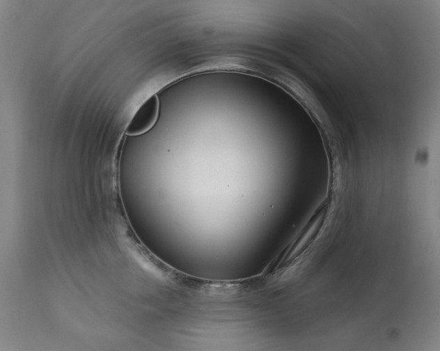 X0000113200858200909241357