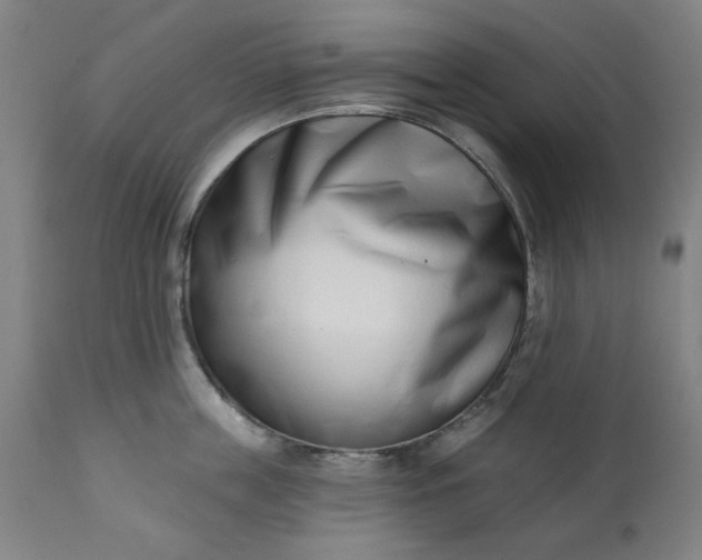 X0000113200859200909241357