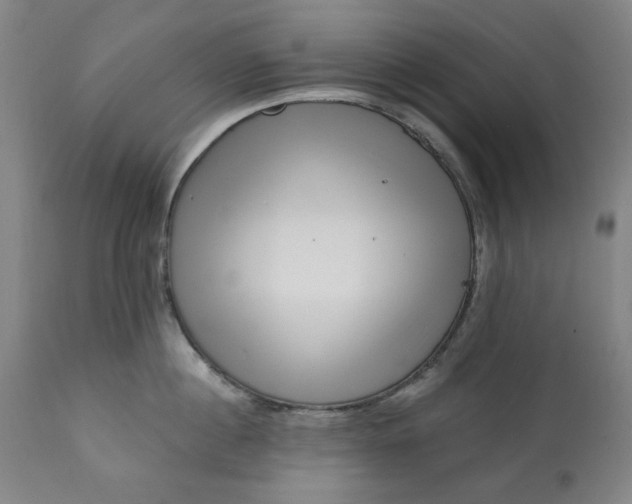 X0000113200860200909241357