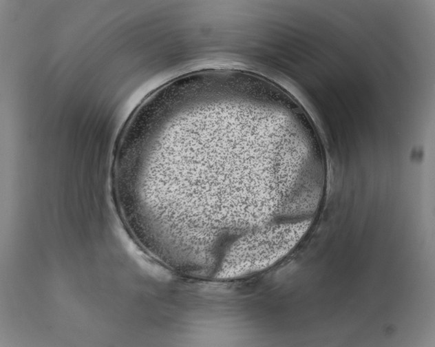 X0000113200861200909241357