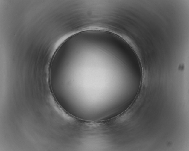 X0000113200862200909241357