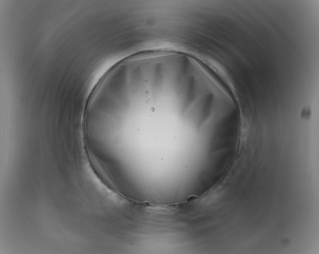 X0000113200863200909241357