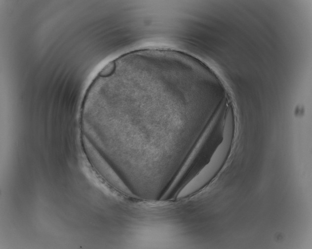 X0000113200864200909241357