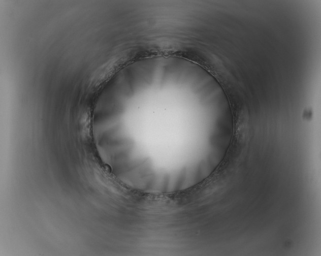 X0000113200866200909241356