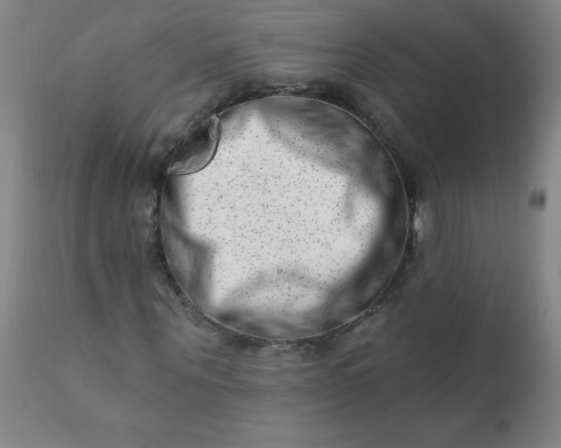 X0000113200867200909241356