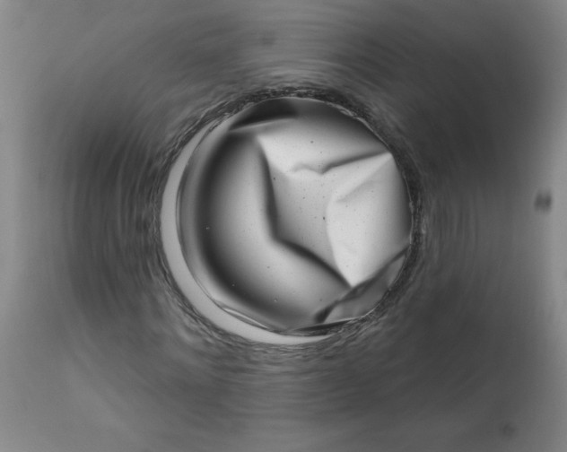 X0000113200868200909241356