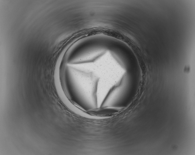 X0000113200869200909241356