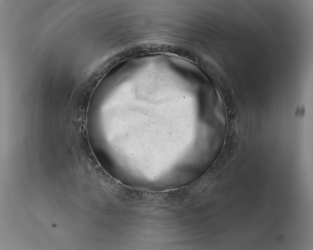 X0000113200870200909241356