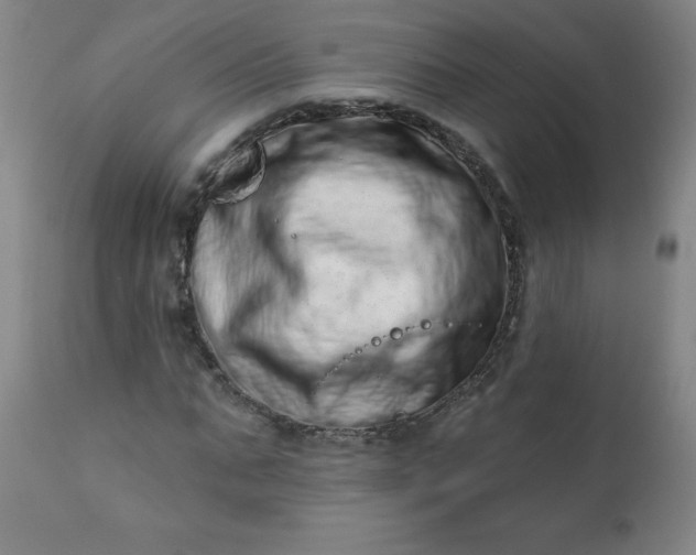 X0000113200871200909241356