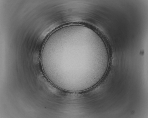 X0000113200873200909241356