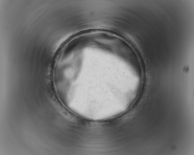 X0000113200875200909241356