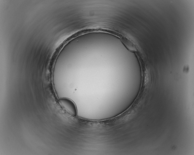 X0000113200876200909241356