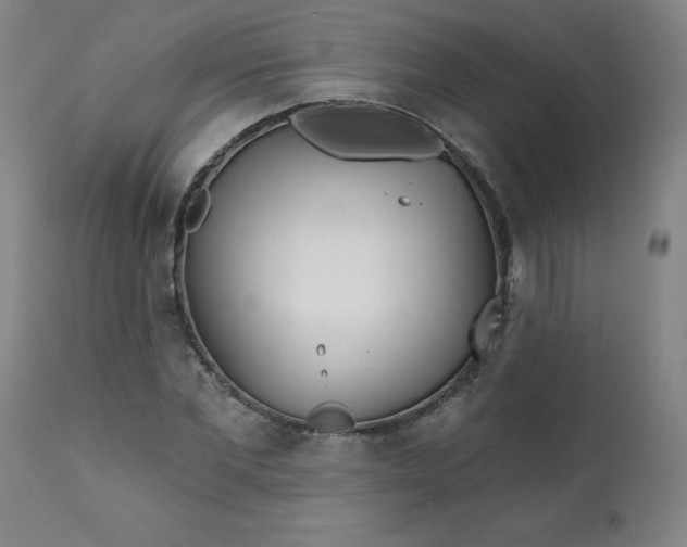 X0000113200877200909241356