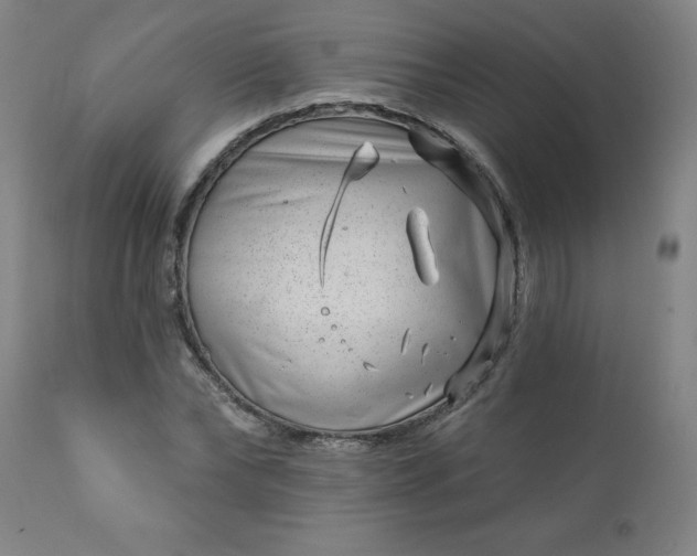 X0000113200878200909241356