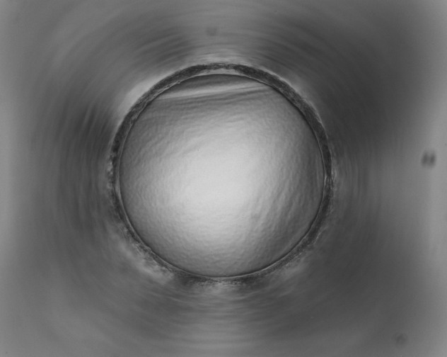 X0000113200879200909241356