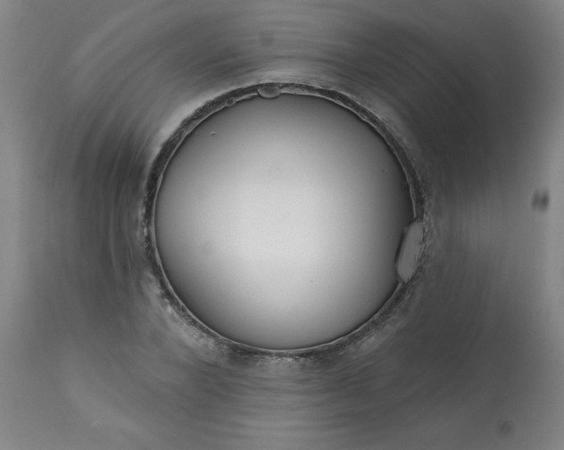 X0000113200880200909241356