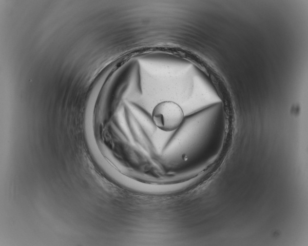 X0000113200881200909241356