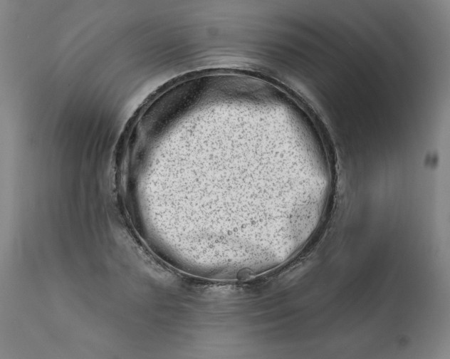 X0000113200883200909241356