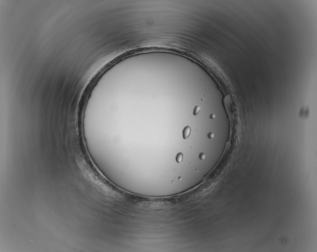 X0000113200884200909241356