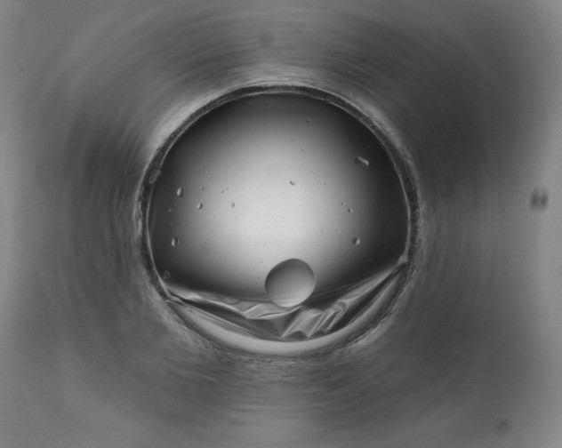 X0000113200885200909241356