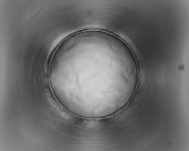 X0000113200886200909241356