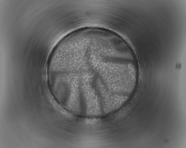 X0000113200887200909241356