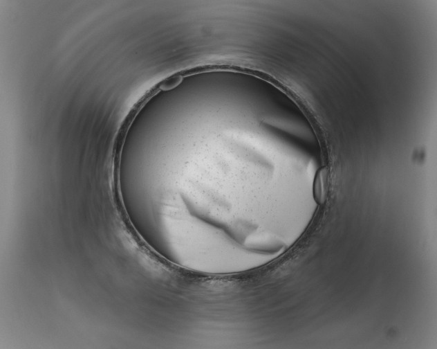 X0000113200888200909241356